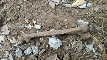 קנתה בית קרקע חדש ומצאה עצמות אדם בחצר - היזם סירב לפצות