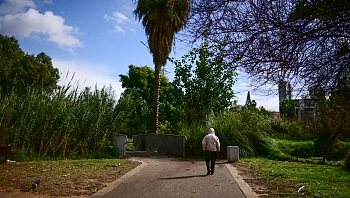 התחזית לסופ"ש: עלייה בטמפרטורות, מזג אוויר נוח