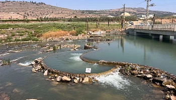 באנו לצנן אתכם: המעיינות החדשים והמרעננים של הקיץ