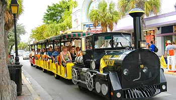 גנב רכבת תיירים עם נוסעים עליה - וטען: "זה יום ההולדת שלי"