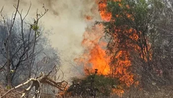 שריפה גדולה באזור צריפין; עשרות צוותי כיבוי ומטוסים הוזנקו