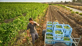 התחזית: מזג אוויר נוח לעונה, הים גבוה ומסוכן לרחצה