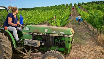 אחרי גל החום החריג: ירידה נוספת בטמפרטורות | התחזית