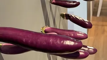 בושה: המבקרים במוזיאון לאומנות גונבים חצילים מהיצירה