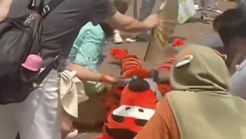 בהלה בדיסנילנד: טיגר התמוטט במהלך המצעד