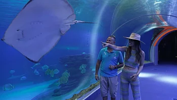 הכי בעולם, עונה 3, פרק 15: אילת, ישראל