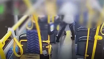 תושב י-ם נאשם שתקף נהג אוטובוס ושוטר: "הכה ואיים" | תיעוד