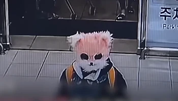 צעירה במסכת חתול איימה על ילדים עם סכין ואמרה לשוטרים "מיאו"