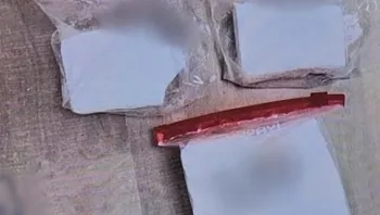 חצי ק"ג קוקאין: גננת ממרכז הארץ נעצרה בחשד לסחר בסמים