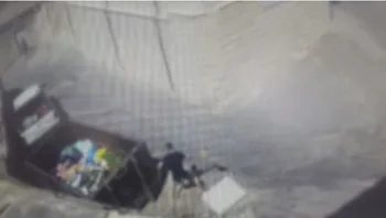 מזעזע: התעלל והרג גור חתולים כי "הוא יצר של השטן"