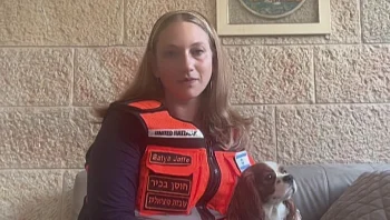 "אנשים נפתחים דרך המפגש": הכלבים שהגיעו להרגיע בזירת הפיגוע