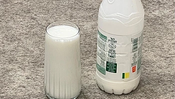 לראשונה בישראל: טעמנו את חלב הפטריות שבקרוב יגיע למדפים