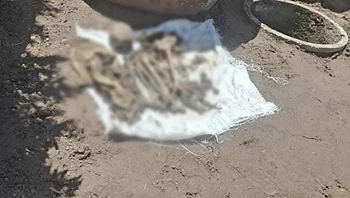 חשבה שבעלה נטש אותה לפני שנים – עד שמצאה את השלד שלו בביוב