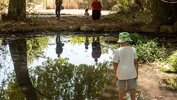 התחזית לשבת: מזג אוויר בהיר וחם מהרגיל, הים נוח לרחצה