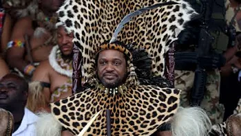 בגלל שנעלב: מלך הזולו הזמין את הפרופסור לקרב מקלות