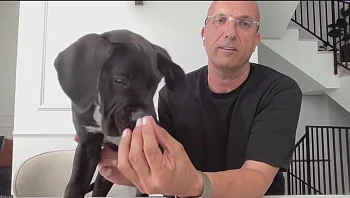 "השתולל בתוך המים": בעל הכלב קפץ לבריכה והציל אותו מטביעה