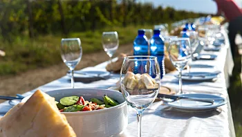 לא רק כאן חוגגים: פסטיבלי הסתיו מסביב לעולם שלא תרצו לפספס