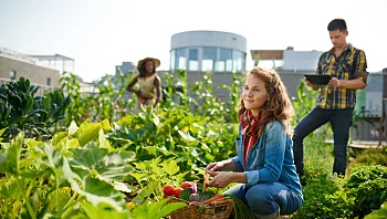על גגות תל אביב הירוקים: המלצות לפעילות ירוקה ומקיימת