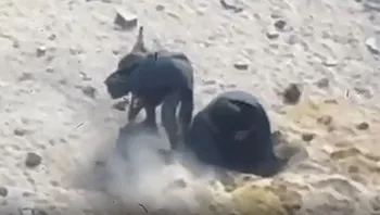 כ-750 אלף כבר התפנו מעזה. תיעוד: חיסול מחבלים שהטמינו מטענים