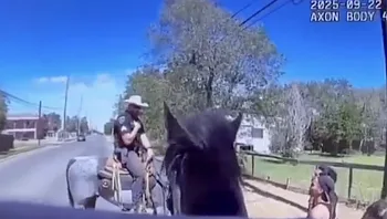 השוטר התבדח שהסוס שלו מריח סמים והאזרח פתח במנוסה