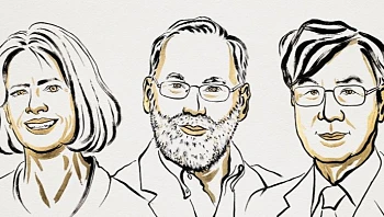 על חקר מערכת החיסון: נובל לרפואה יוענק ל-3 חוקרים מארה"ב ויפן