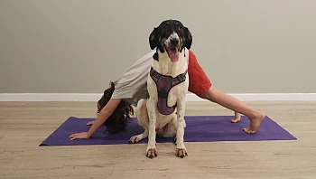 מבלים עם הילדים בסוכות: 6 פעילויות סביב חקלאות ובעלי חיים