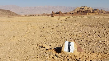 להתחיל מבראשית: המלצות על שבילים ואתרי טבע חדשים ומתחדשים