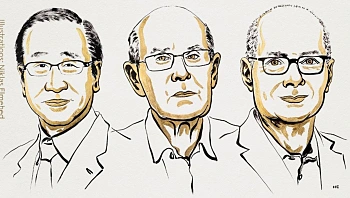 פרס נובל לכימיה יוענק ל-3 חוקרים על פיתוח מסגרות אורגנו-מתכתיות