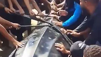 סוף עצוב: הכריש שנצפה בחופי הארץ ניצוד בעזה