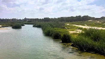 לאורך הים: 4 מסלולים לטיולים משפחתיים שמושלמים לסתיו