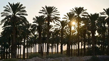 התחזית לשבת: מעונן חלקית, ללא שינוי ניכר בטמפרטורות