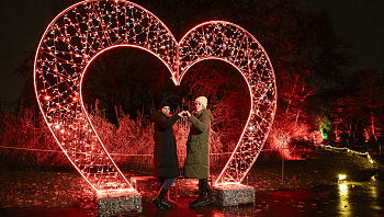 ממש כמו באירופה: חוויית החורף הגדולה בעולם מגיעה גם לארץ