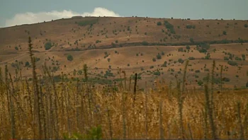 קרב הבכא 2025: המאבק בהקמת תחנה סולארית באתר המיתולוגי