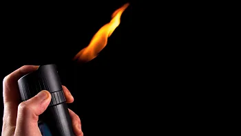 ניסתה להרוג ג'וק עם מצית וספריי - וגרמה לשריפה בבניין