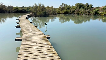 בלי פקקים ובלי חנייה - רק טבע: 9 מסלולי טיול בתחבורה ציבורית