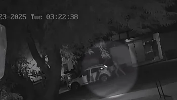 העמיסו - וברחו: שודדי הכספומטים שגנבו מאות אלפי שקלים