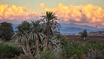 מרגישים את הסתיו בטבע: 4 פעילויות מהנות לכל המשפחה