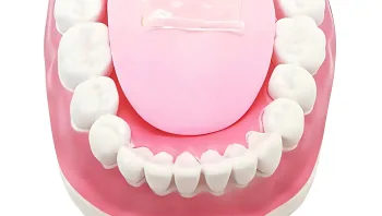 פותחה לשון מלאכותית שמודדת את מידת החריפות של האוכל