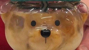 מעט קפה, הרבה כאוס: הכוס שהפכה ללהיט ויראלי - ולמוקד ריבים