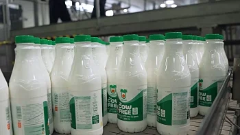 חלב ללא חלב: הטרנד החדש שהגיע למקררים