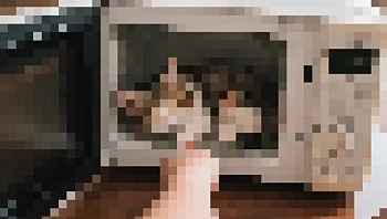 חשוד בהתעללות בגור חתולים במיקרוגל טוען: פרצו לי לחשבון