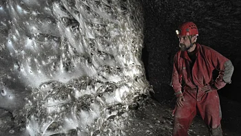 חוקרים מצאו את רשת קורי העכביש הגדולה בעולם