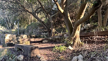 מסלול מקסים ועגלת קפה: המלצה ליום טיול סתווי במרכז הארץ