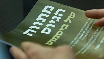 החוברת של ביסמוט - מול המציאות: הפערים בין ההבטחות לבין החוק