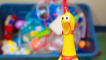 הטריד את שכנתו באמצעות תרנגולת גומי מצפצפת במשך 10 שנים