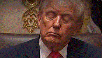 "סליפי דון": טראמפ תועד מנמנם בפגישה בבית הלבן