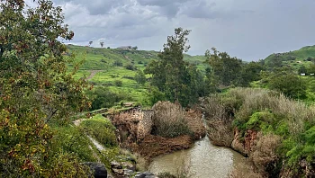 בלי ללכלך את הנעליים בבוץ: 6 מסלולי טיול אחרי ה"מבול"