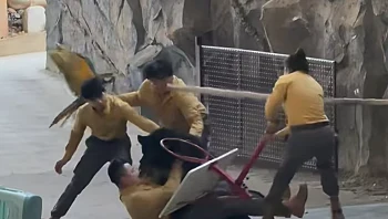 צפו: דוב רעב תקף את מטפלו בגן החיות