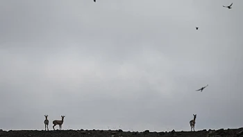 התחזית לסופ"ש: מעונן חלקית ונוח, עדיין קר מהרגיל בלילות