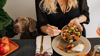 הכלב שלכם ושולחן האוכל: באלו מאכלים מותר לפנק את הכלב